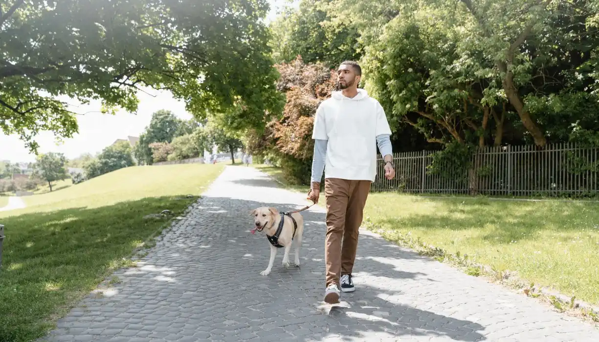 caminata con perro