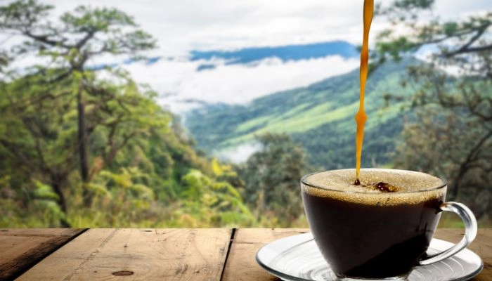 Cómo Preparar un Café Expreso Perfecto en Casa