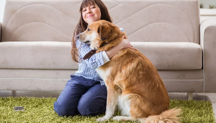 perro compartiendo perro compartiendo