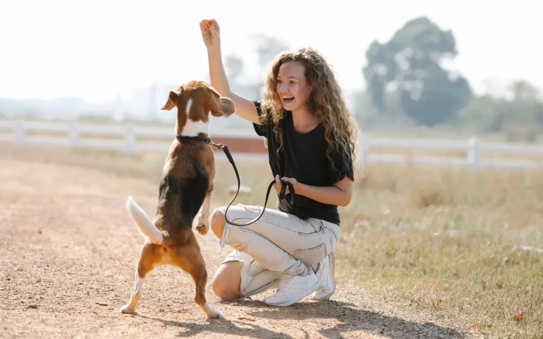 Comenzando la Educación en Positivo con tu Perro: Construyendo una Relación Basada en el Respeto y el Amor