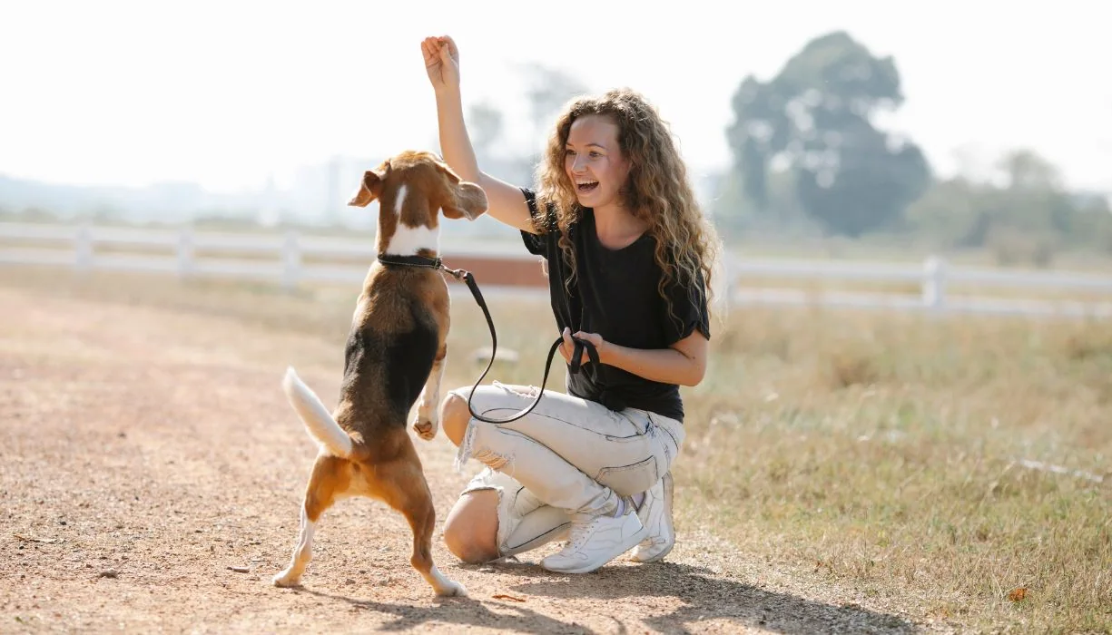 entrenamiento positivo perro